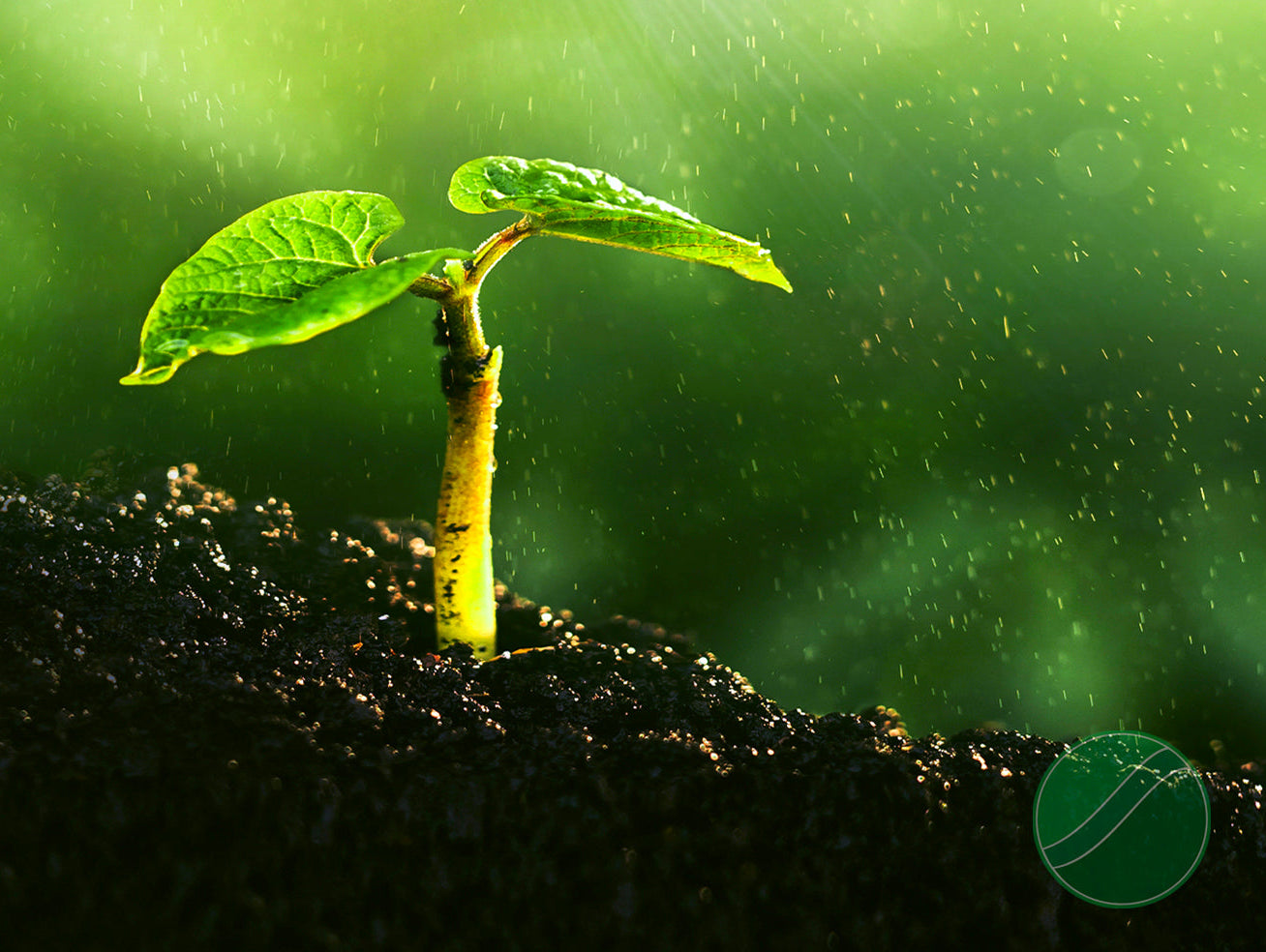 Living Earth: The Microbiology of Soil