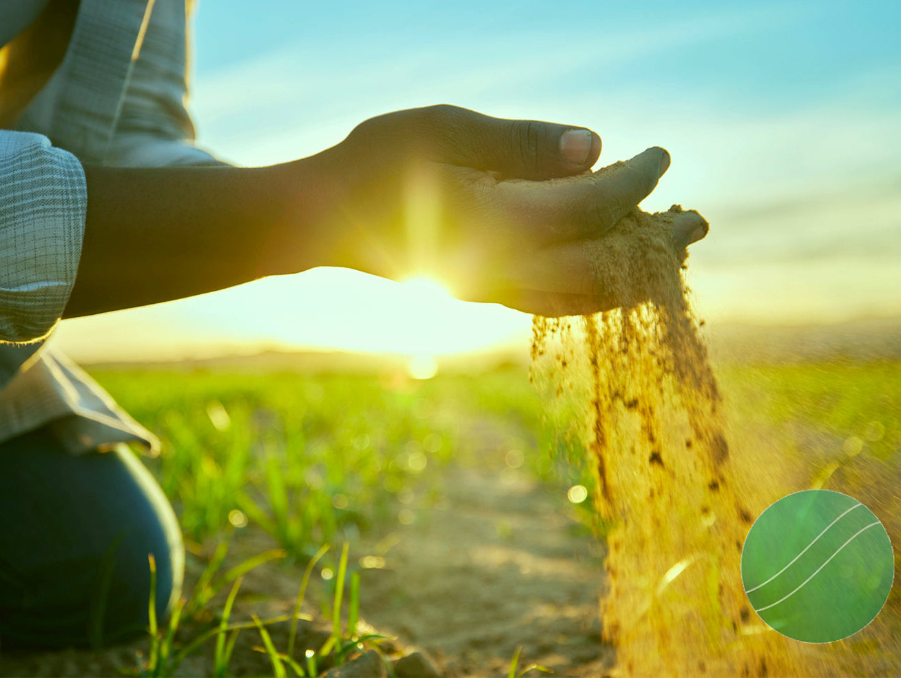 Sustainable Soils: Farming the Future