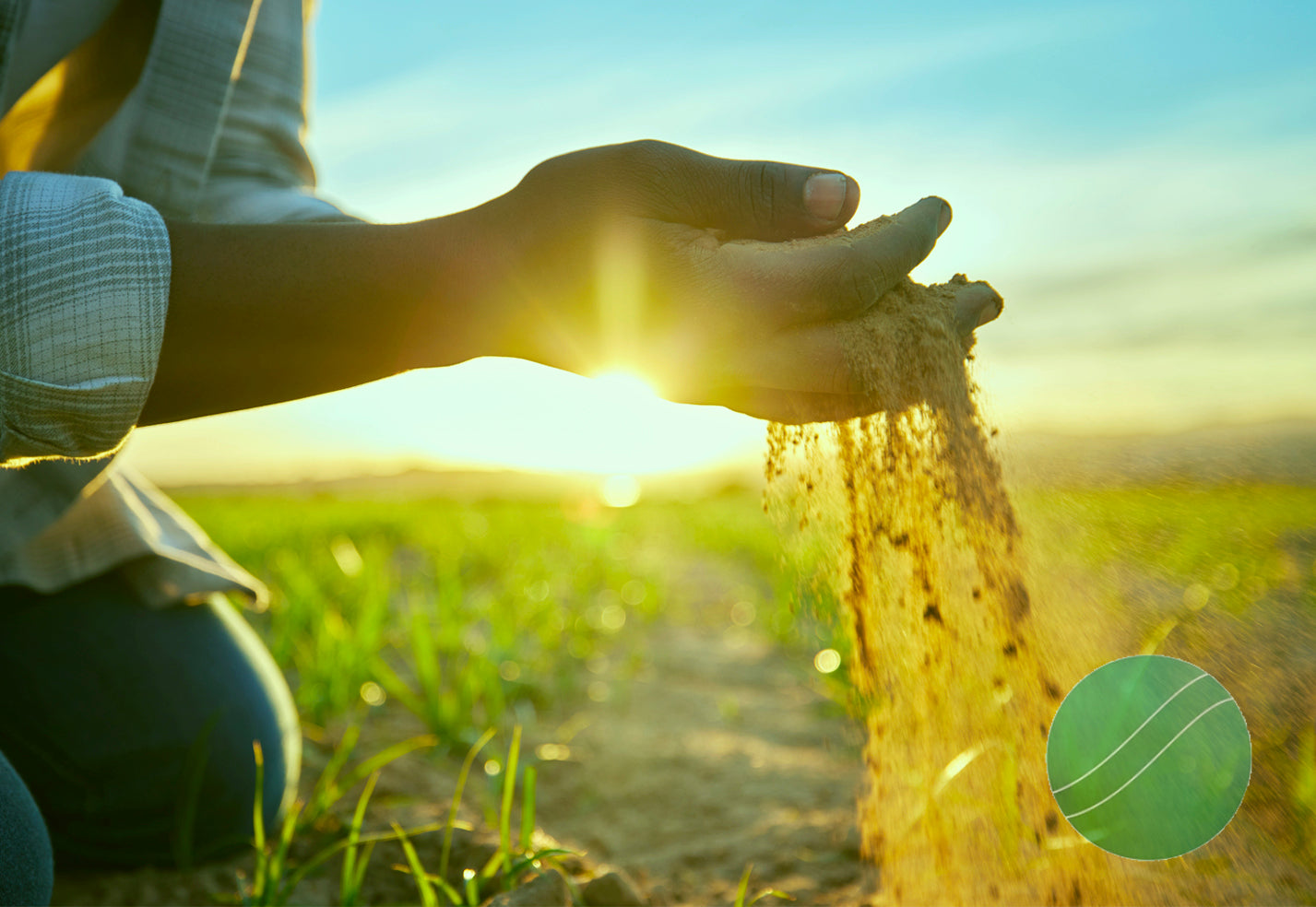 Sustainable Soils: Farming the Future