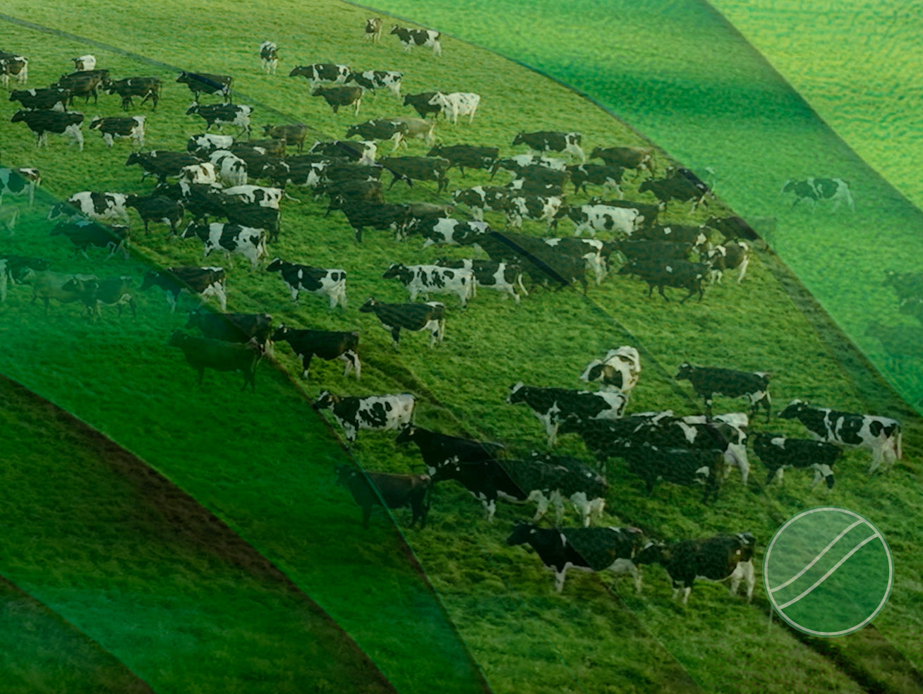 Sustainable Pastures