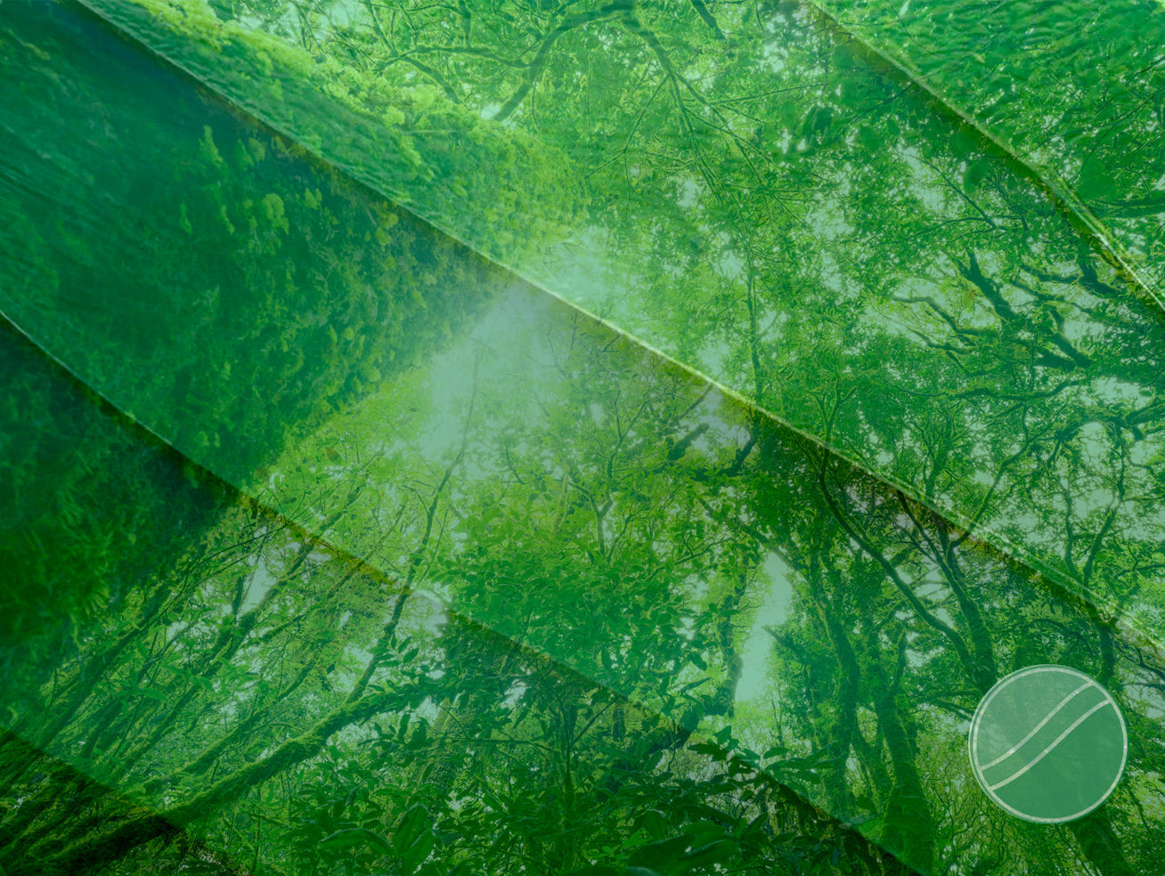Carbon Sinks