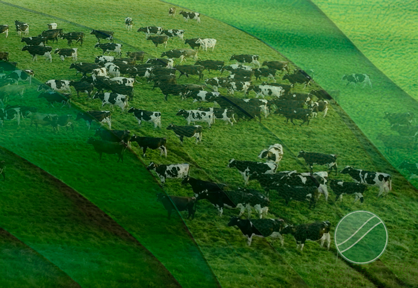 Sustainable Pastures