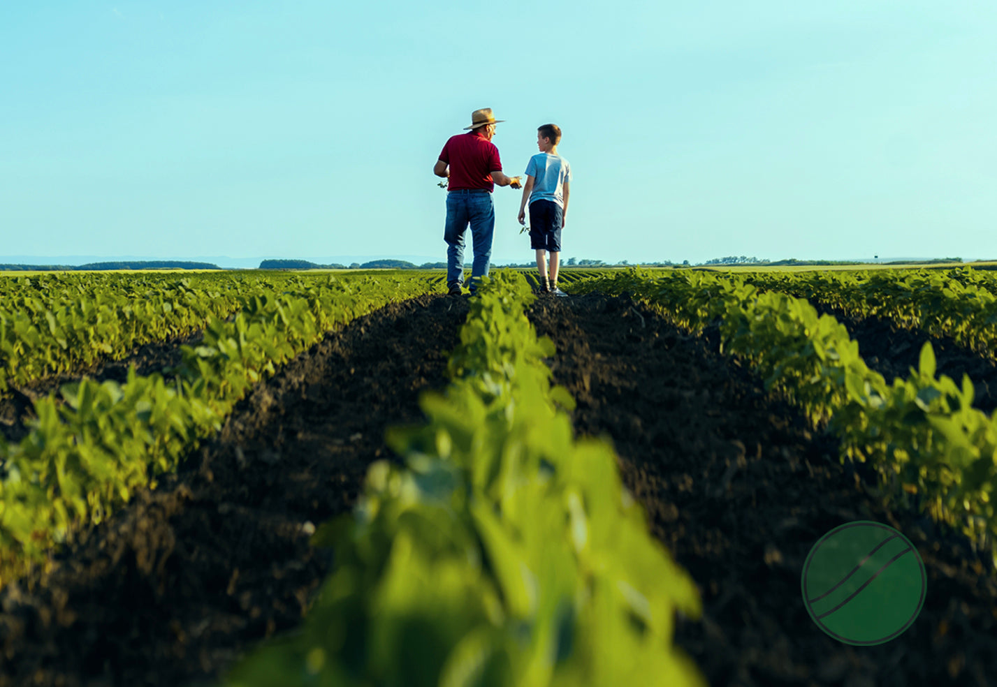 Soil is alive and soil can die